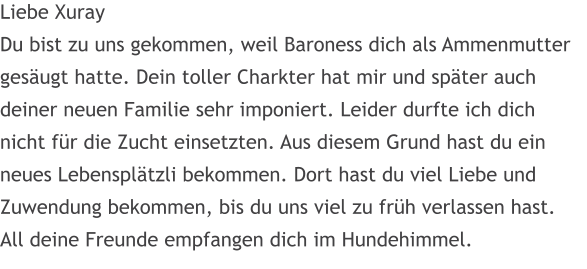 Liebe Xuray Du bist zu uns gekommen, weil Baroness dich als Ammenmutter gesugt hatte. Dein toller Charkter hat mir und spter auch deiner neuen Familie sehr imponiert. Leider durfte ich dich nicht fr die Zucht einsetzten. Aus diesem Grund hast du ein neues Lebenspltzli bekommen. Dort hast du viel Liebe und  Zuwendung bekommen, bis du uns viel zu frh verlassen hast. All deine Freunde empfangen dich im Hundehimmel.