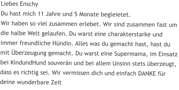 Liebes Enschy Du hast mich 11 Jahre und 5 Monate begleietet. Wir haben so viel zusammen erlebet. Wir sind zusammen fast um die halbe Welt gelaufen. Du warst eine charakterstarke und immer freundliche Hndin. Alles was du gemacht hast, hast du mit berzeugung gemacht. Du warst eine Supermama, im Einsatz bei KindundHund souvern und bei allem Unsinn stets berzeugt, dass es richtig sei. Wir vermissen dich und einfach DANKE fr deine wunderbare Zeit