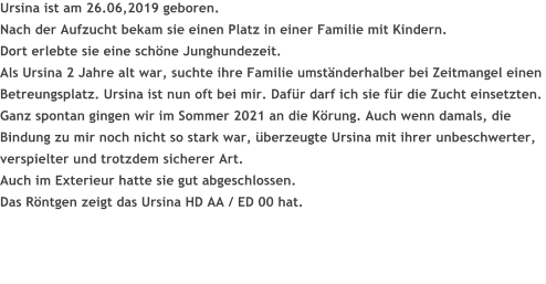 Ursina ist am 26.06,2019 geboren. Nach der Aufzucht bekam sie einen Platz in einer Familie mit Kindern. Dort erlebte sie eine schne Junghundezeit. Als Ursina 2 Jahre alt war, suchte ihre Familie umstnderhalber bei Zeitmangel einen Betreungsplatz. Ursina ist nun oft bei mir. Dafr darf ich sie fr die Zucht einsetzten. Ganz spontan gingen wir im Sommer 2021 an die Krung. Auch wenn damals, die Bindung zu mir noch nicht so stark war, berzeugte Ursina mit ihrer unbeschwerter, verspielter und trotzdem sicherer Art. Auch im Exterieur hatte sie gut abgeschlossen. Das Rntgen zeigt das Ursina HD AA / ED 00 hat.  